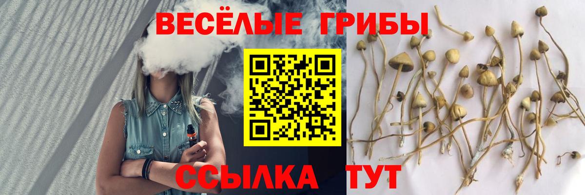 Галлюциногенные грибы прущие грибы Мичуринск